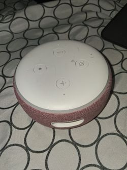 Pink Echo dot