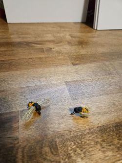 HALLOWEEN! Realistic bees
