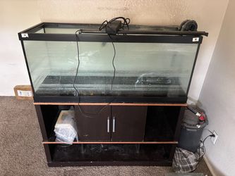 65g Aquarium Setup with Stand
