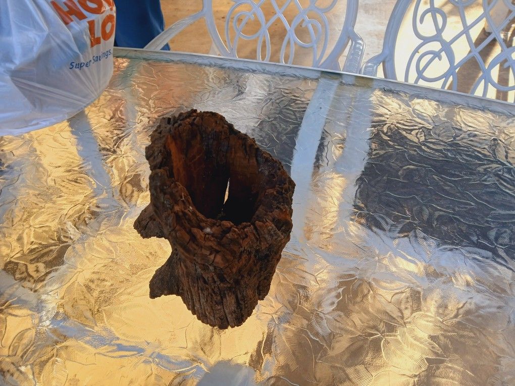 Drift Wood
