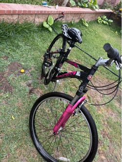 Schwinn