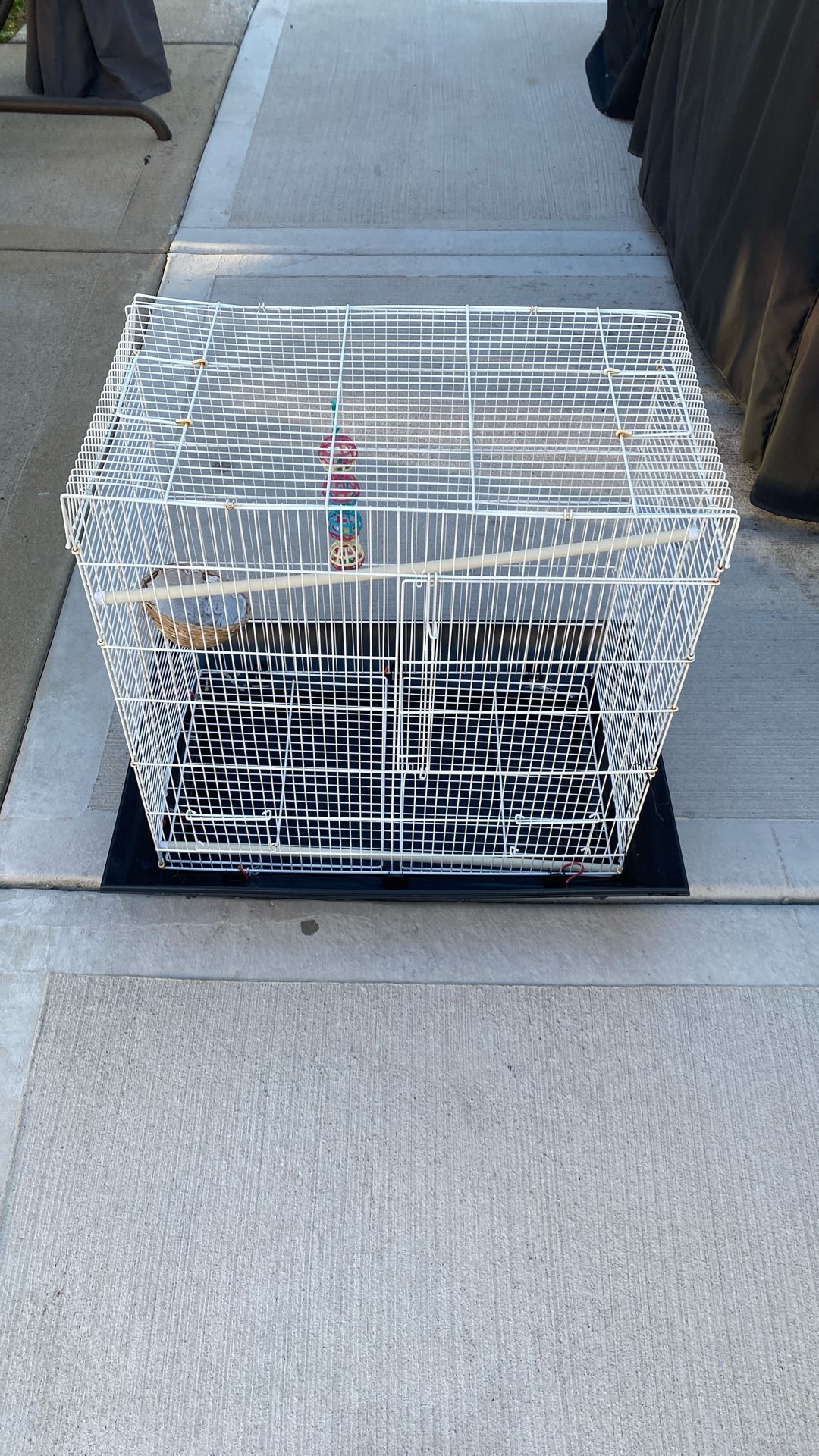 Bird Cage