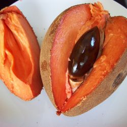 Árboles De Mamey Y Muchos Más Son Diferentes Precios