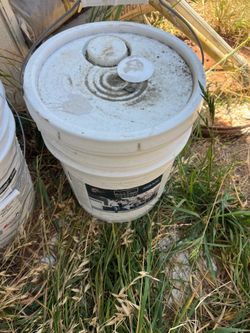 Exterior paint