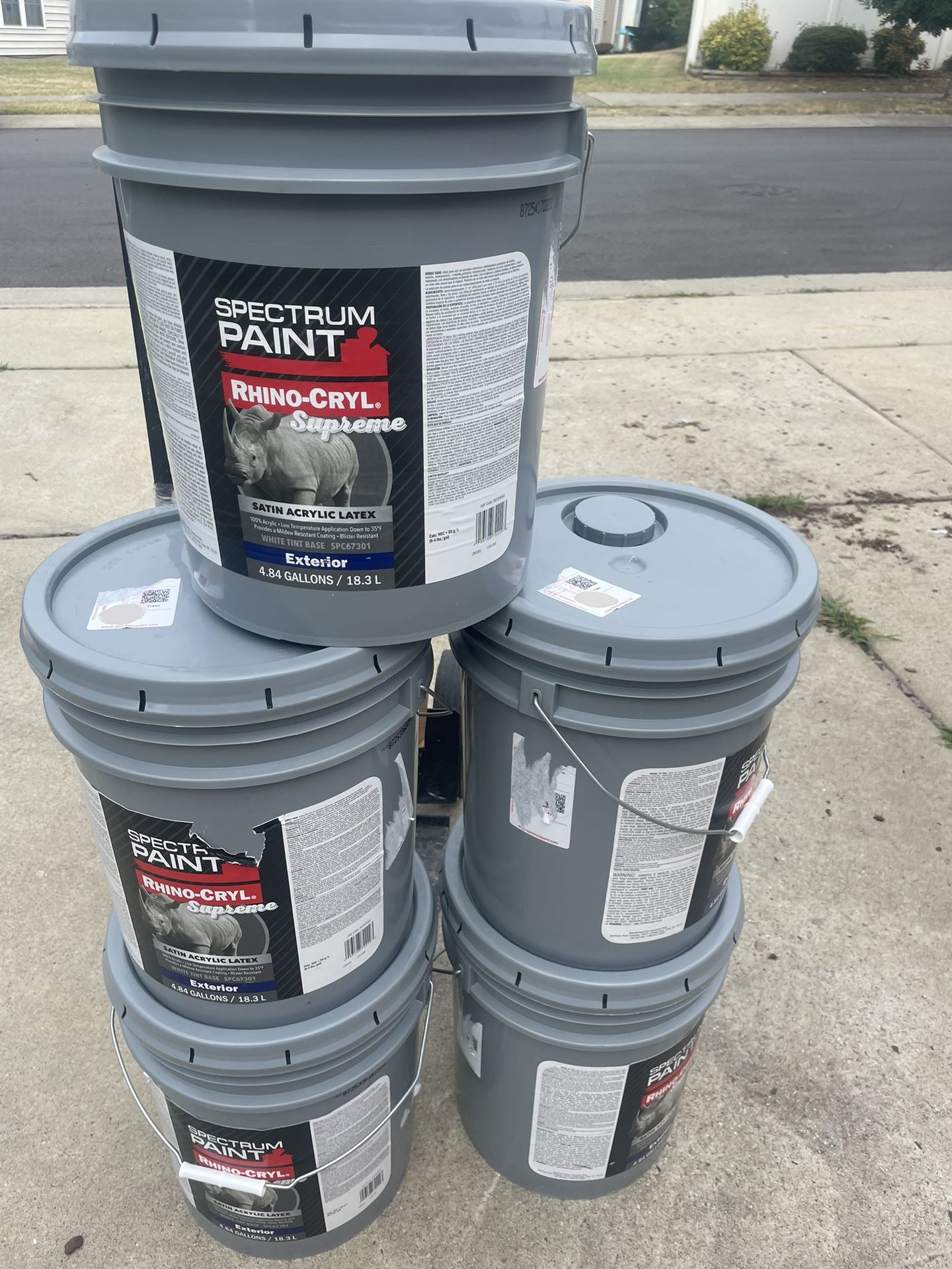 Paint