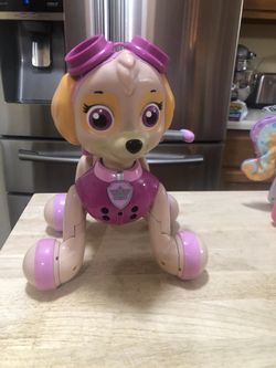 Zoomer paw patrol skye