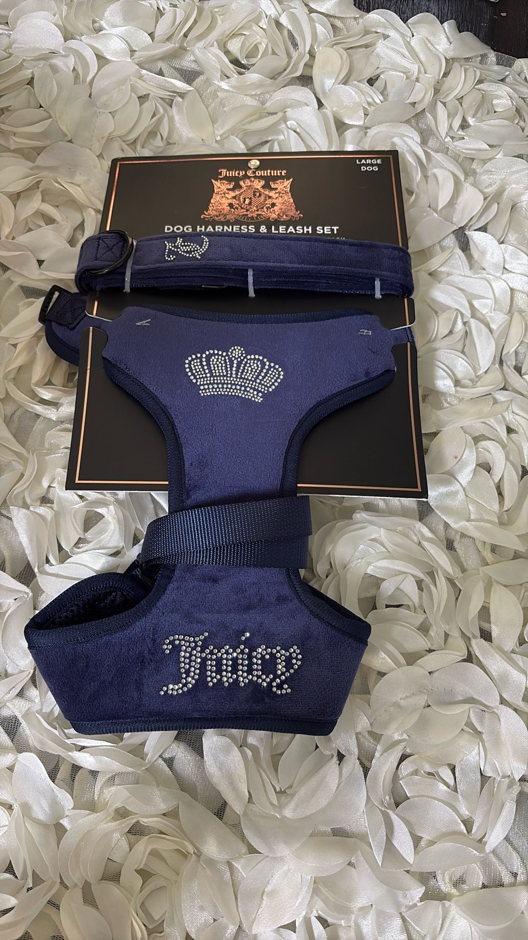 Brand New Juicy Contour, Dog, Harness And Leash Set