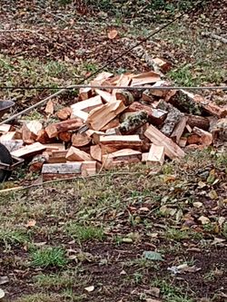 1 Cord Of Firewood