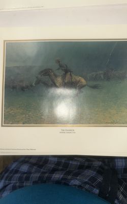 The Stampede