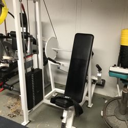 Cybex  Seated Dip Machine 
