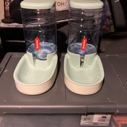 Dog Water And Food Bowls 