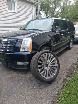 Caddy