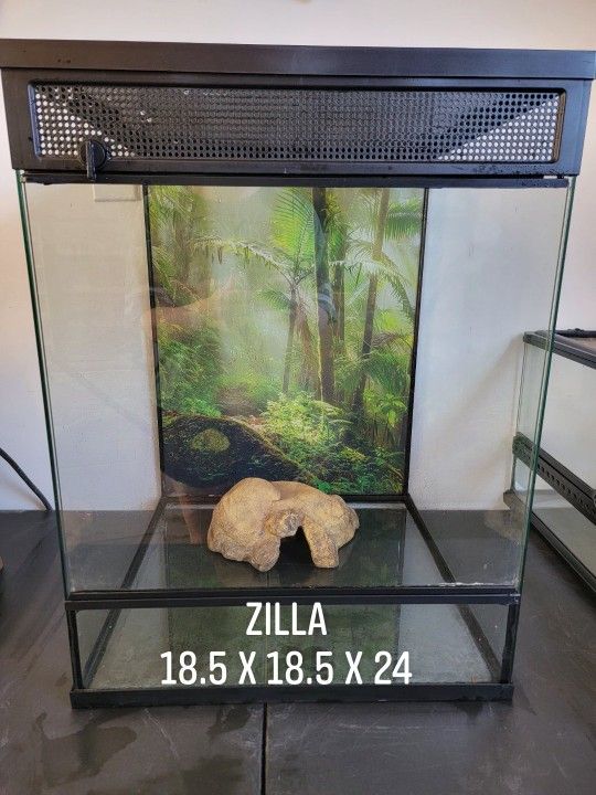 Reptile Enclosure