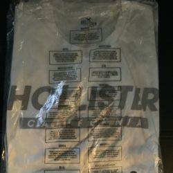 Hollister Men Shirt 