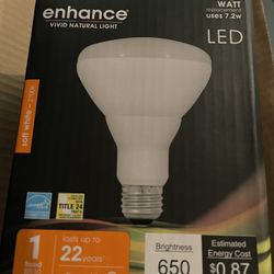 Feit Electric BR30 Flood 65Watt