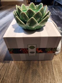 Desert bloom scentsy warmer