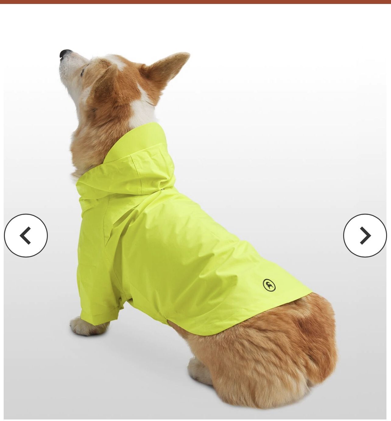 NWT Backcountry x Petco Collab Raincoat