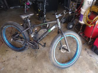 Fat tire ebike project