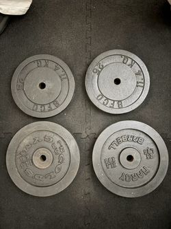 Standard 1 inch plate 100 lbs