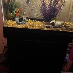 20 Gallon Fish Tank +supplies 