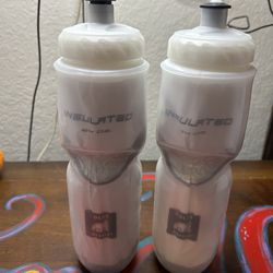 2-Pack Polar Bottle Insulated Water Bottles – 24oz