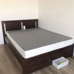 Bed And  Box Springs 