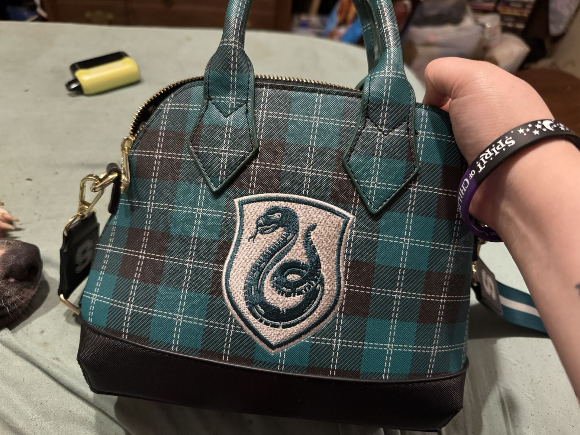 SlytherinLoungeFly