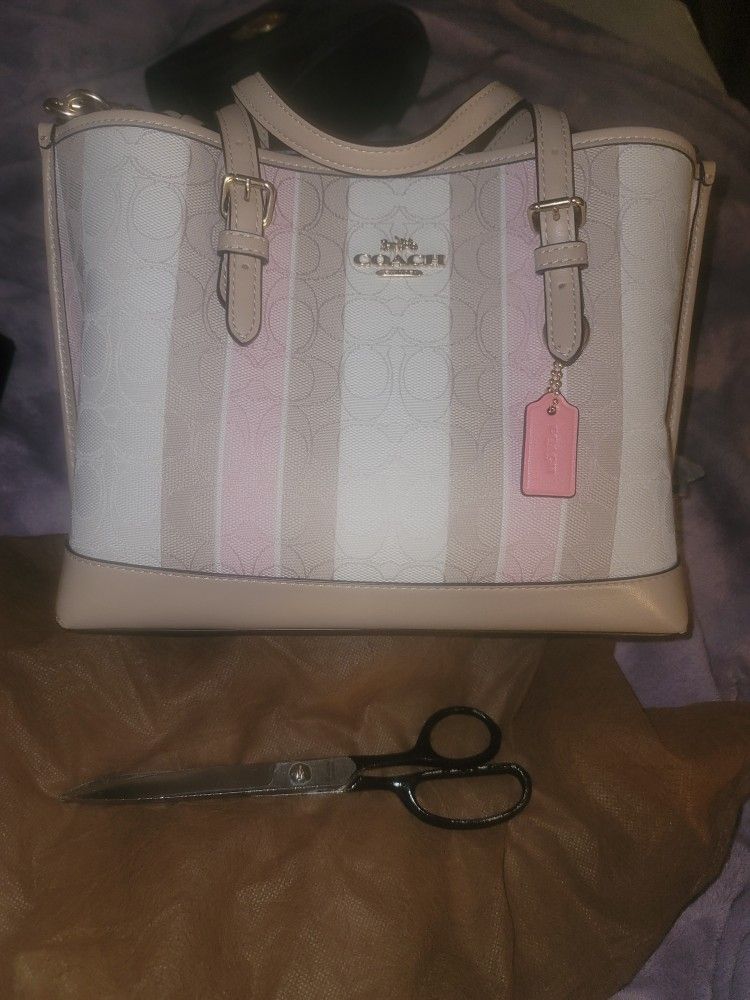 Coach Signature Purse