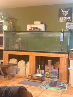 200+ gallon tank