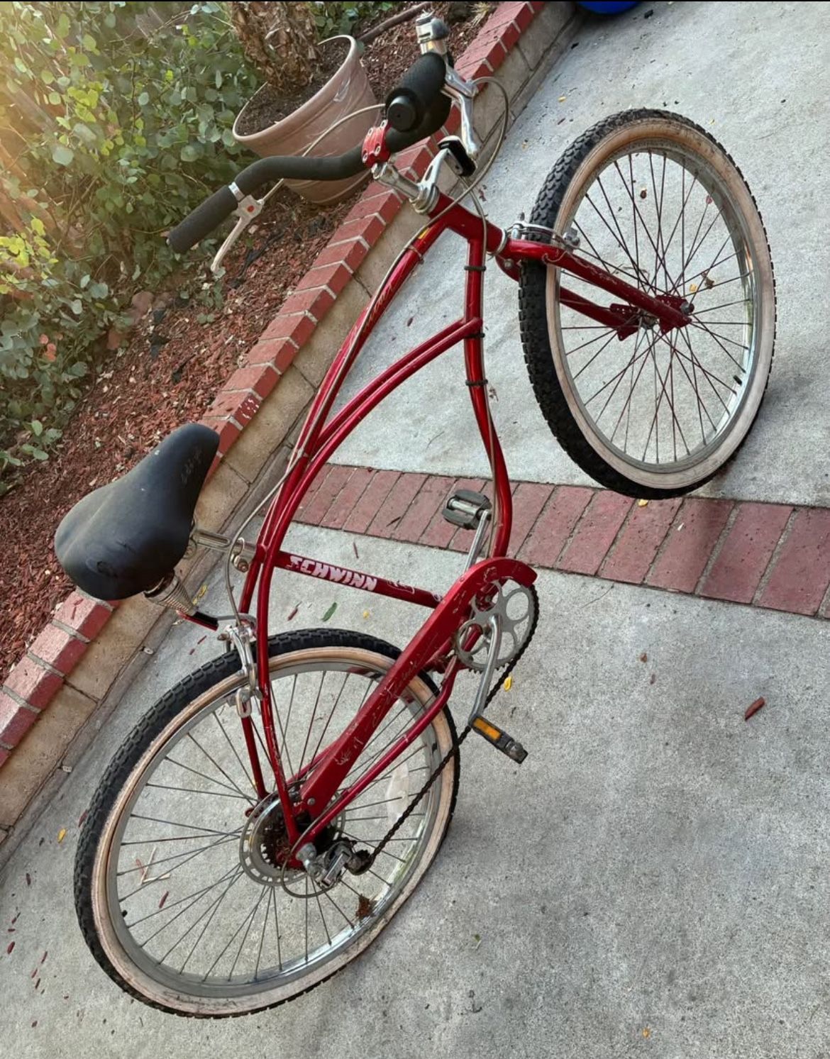 Schwinn 5 Cruiser