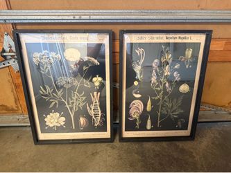 Botanical Art Set