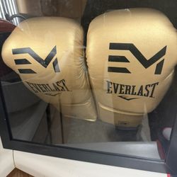 Boxing gloves