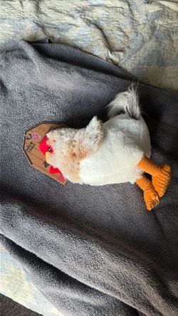 Chicken 🐔 Stuffed Animal