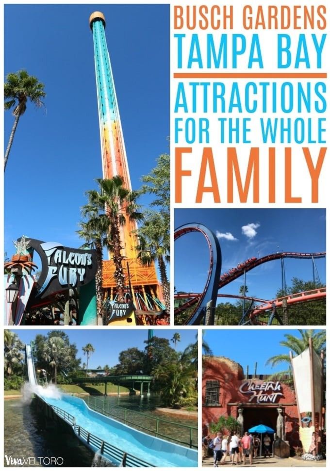 4 Busch Gardens Tampa Bay Tickets