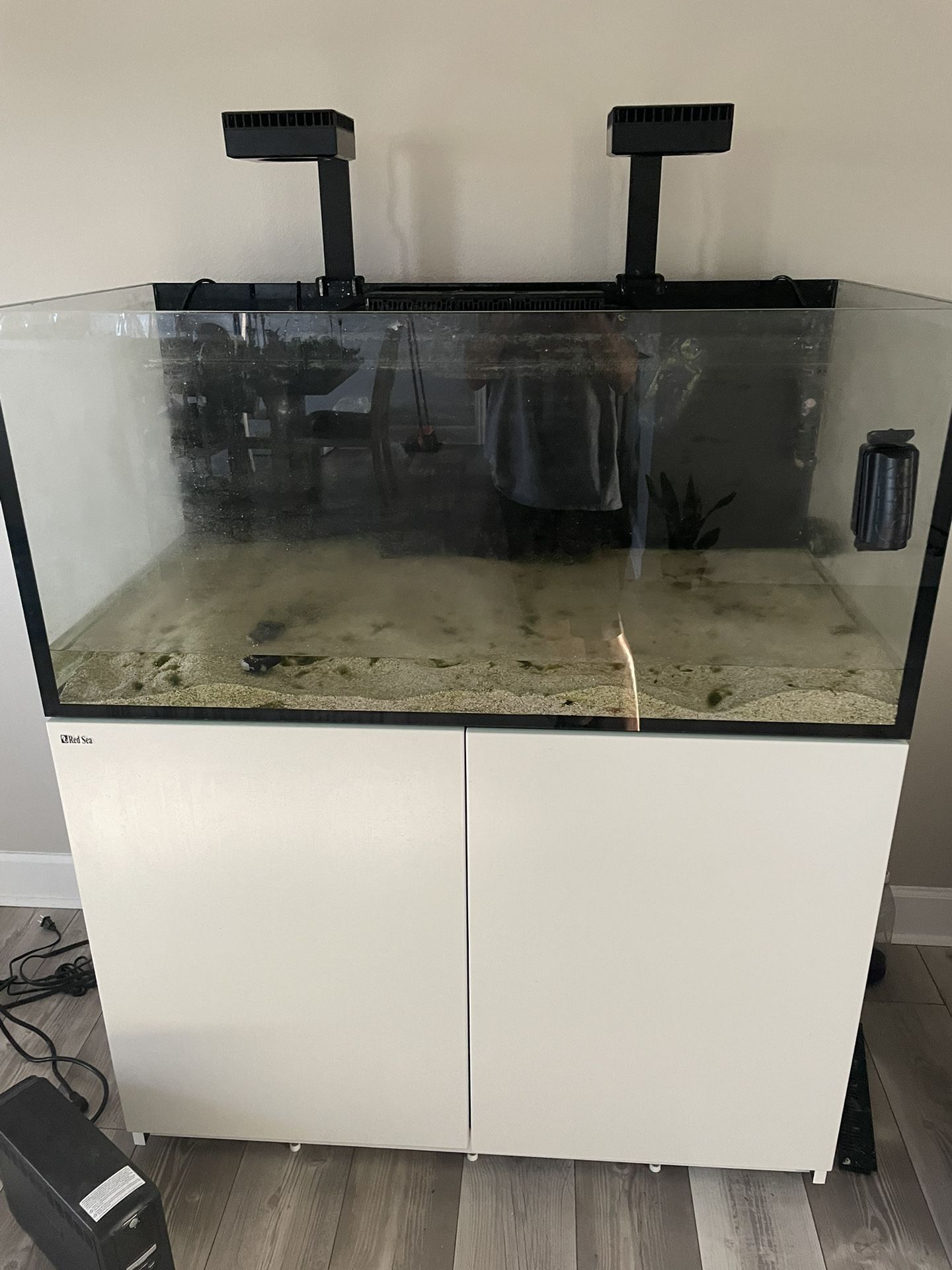 Salt Water Fish Tank
