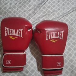 Everlast Mx1
