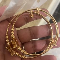 Kashmiri butterfly Bangel