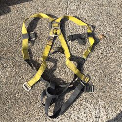 Safety Harness