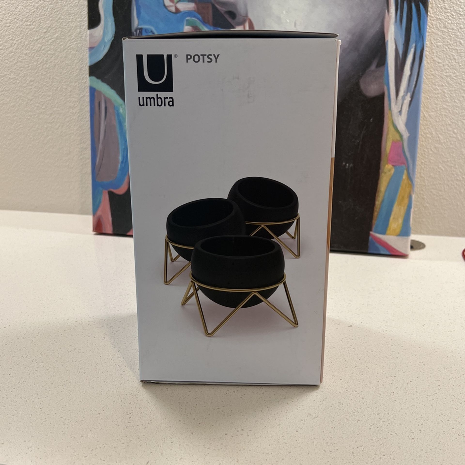 Umbra Potsy Planters