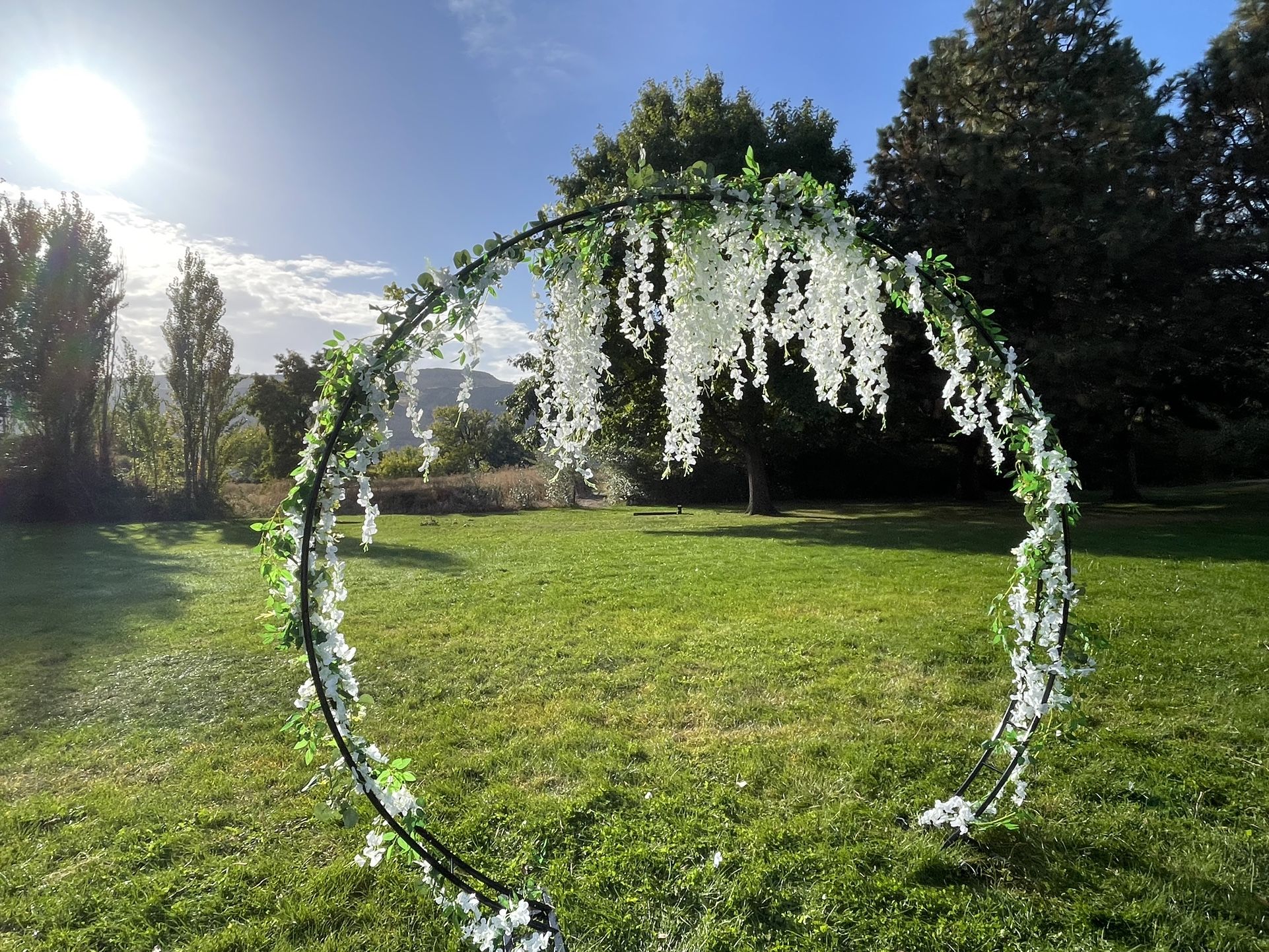 Wedding Arch With Eucalyptus And Wisteria Garlands Decorations
