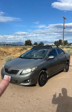 2009 carolla