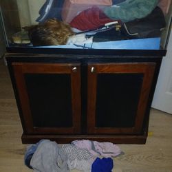 48 Gallon Fish Tank