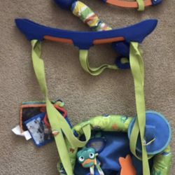 Baby Door Swing