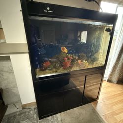 Salt Water Fish Tank And Sump