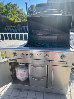Barbecue good
