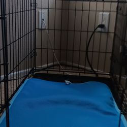 Dog Crate 