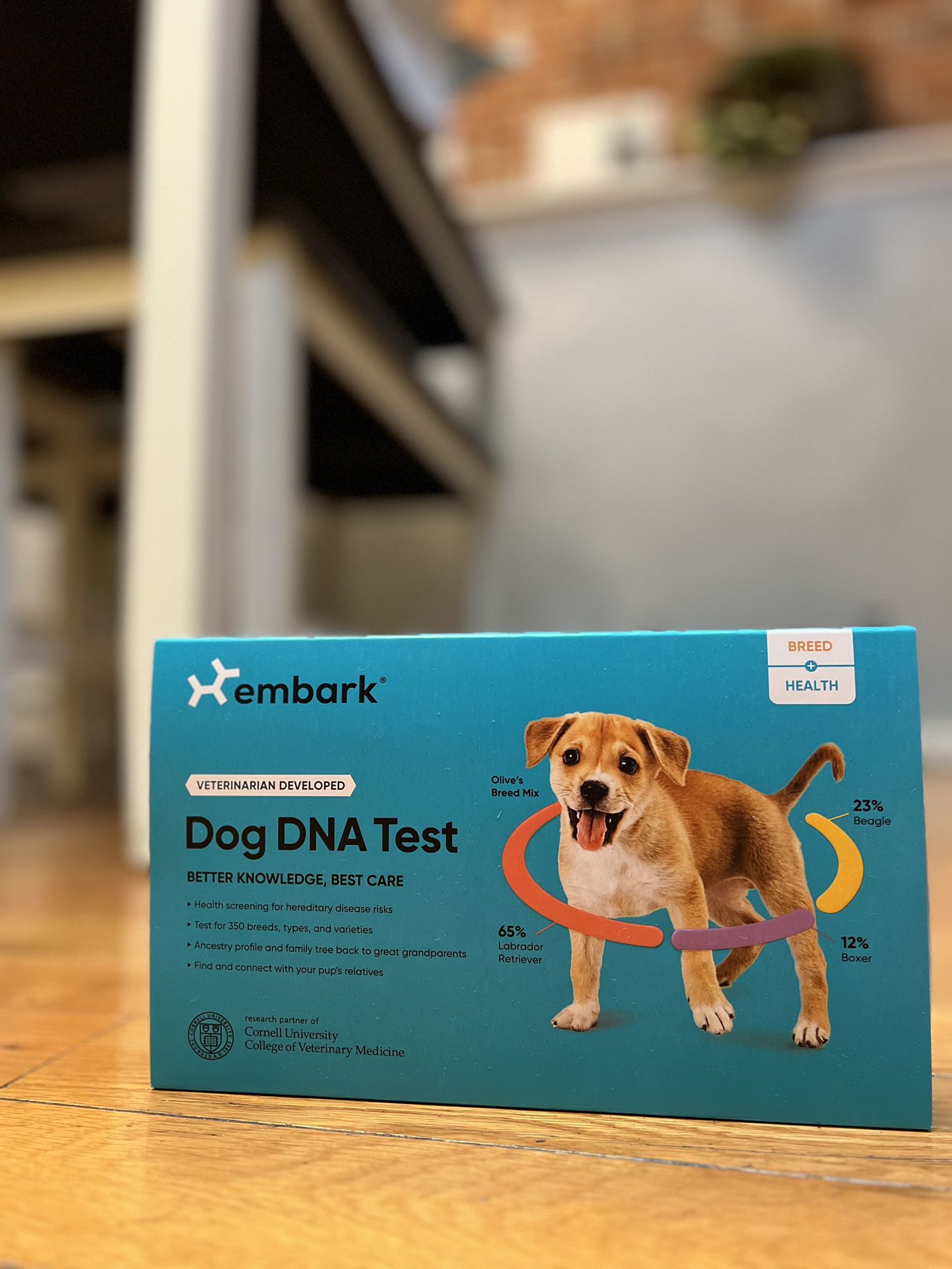 Brand New Embark Dog DNA Test (50% Off!)