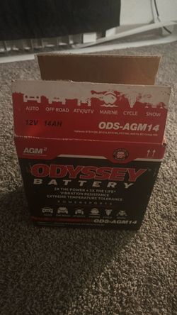 Odyssey batter