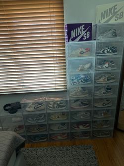 Nike dunk collection