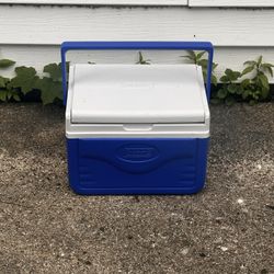 Coleman 5QT Cooler